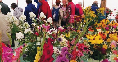 Wanborough Show Flowers & Produce