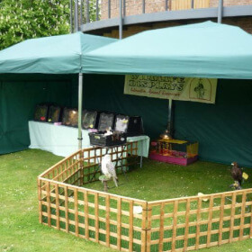 Wanborough Show Wildlife Display