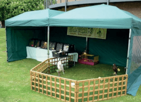 Wildlife Display