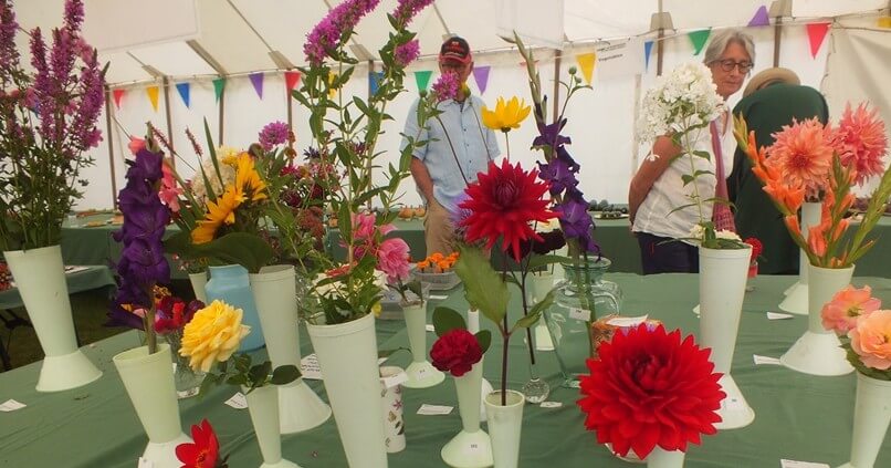 Wanborough Show Flower & produce Show