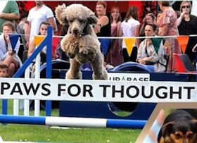 Paws For Thought